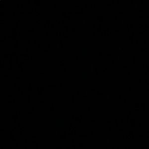 Meet your Posher, Daniela